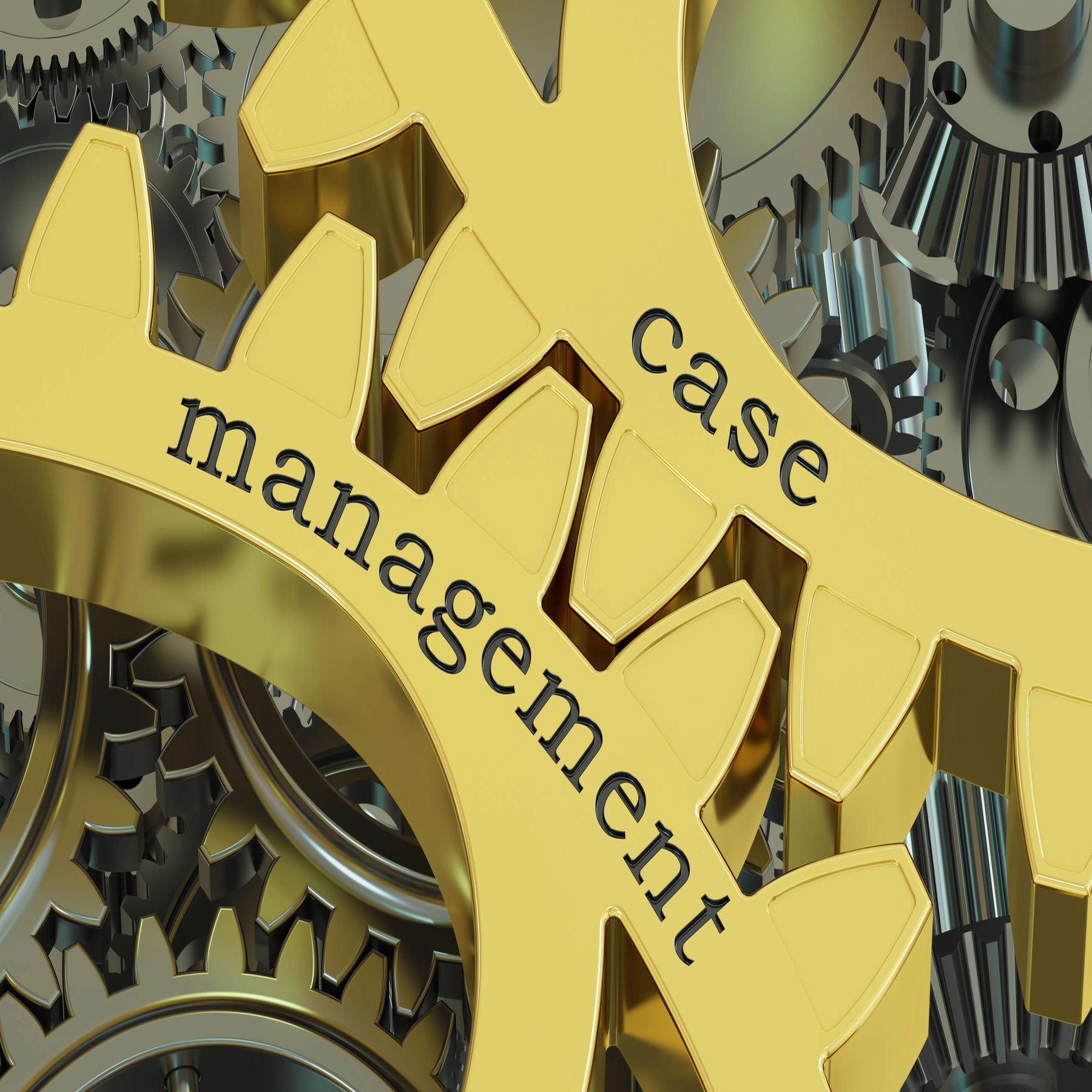 Case Management Week: Coordinating Comprehensive Care for Seniors